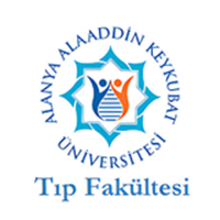 alaaddin-keykubat.png