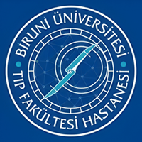 biruni.png